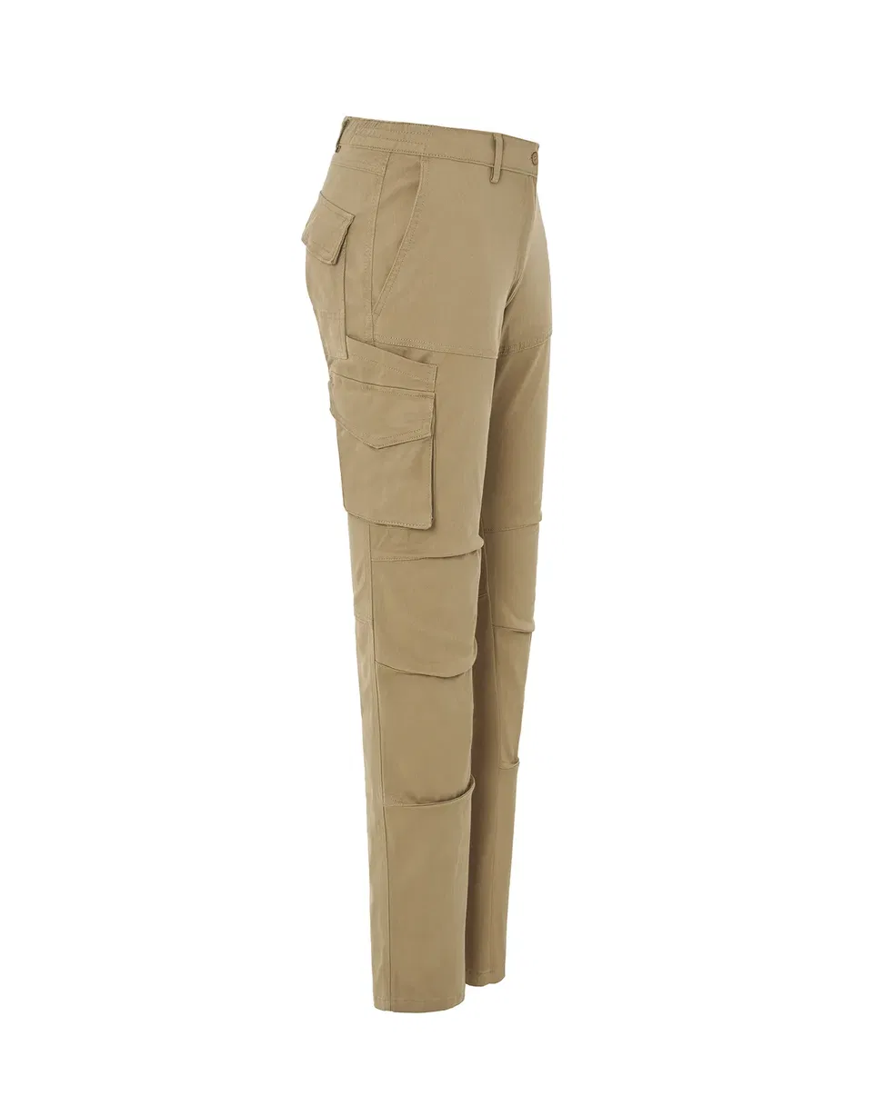 Arizona Lady (CARGO)